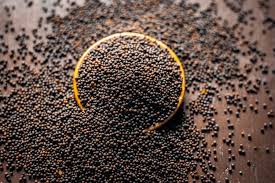 Mustard seeds rai